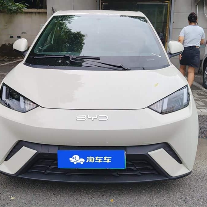 Seagull 2024 Glory Edition 405km Flying Edition Seagull 2024 Glory Edition 405km Flying Edition