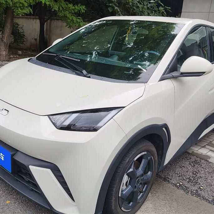 Seagull 2024 Glory Edition 405km Flying Edition