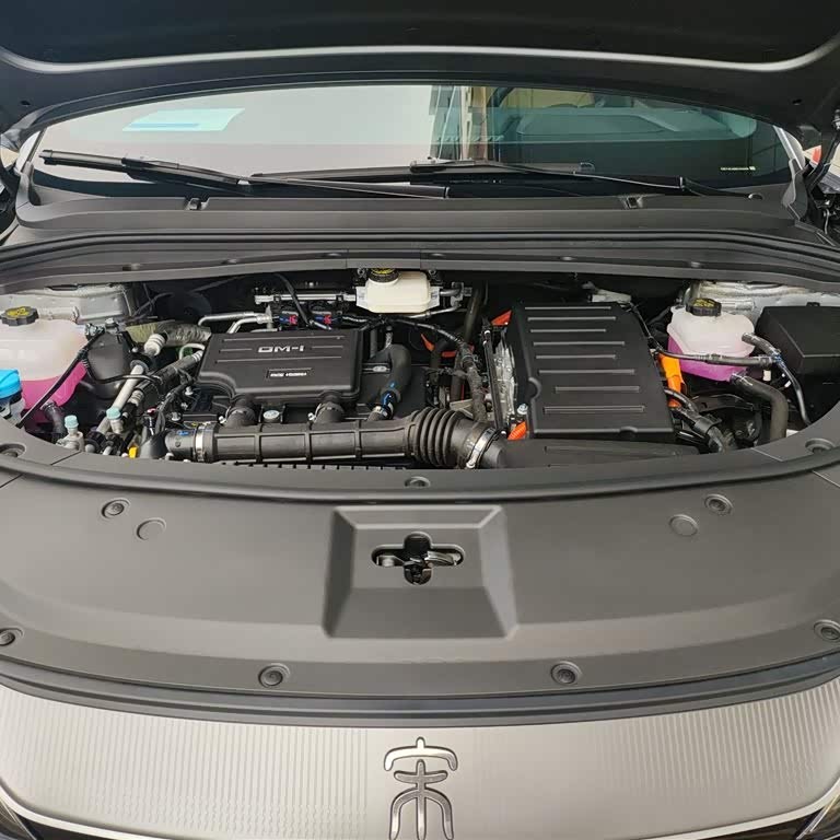 Song L DM-i 2024 model 112km surpassing model Song L DM-i 2024 model 112km surpassing model