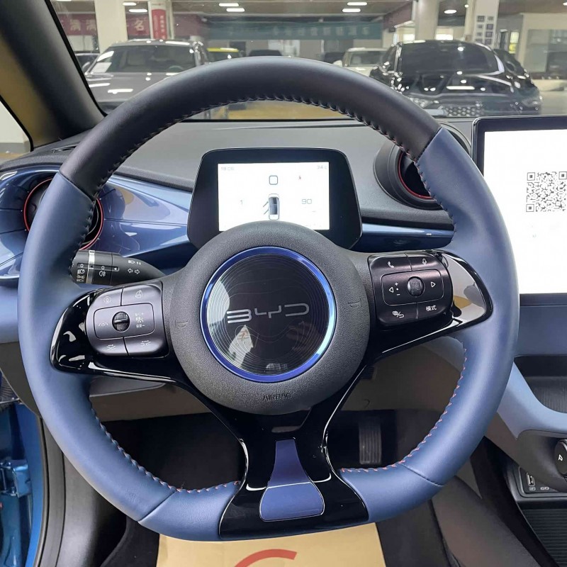 Dolphin 2023 401km Knight Edition Dolphin 2023 401km Knight Edition