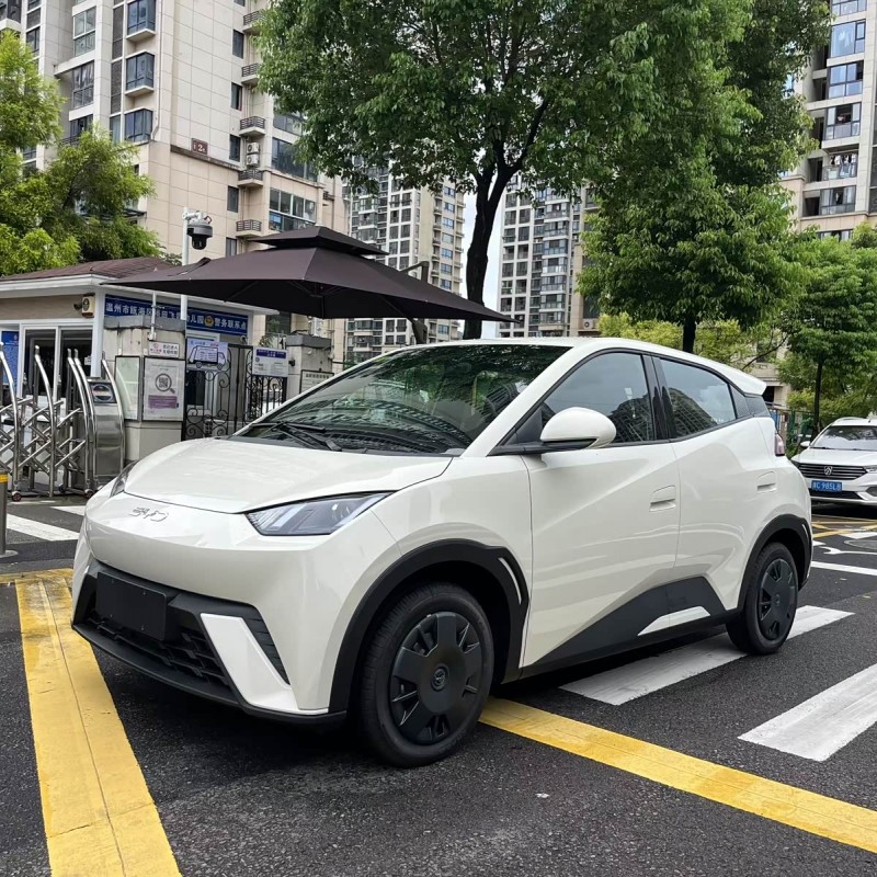 Seagull 2025 Smart Driving Edition 305km Vitality Edition Seagull 2025 Smart Driving Edition 305km Vitality Edition