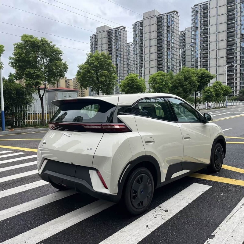 Seagull 2025 Smart Driving Edition 305km Vitality Edition Seagull 2025 Smart Driving Edition 305km Vitality Edition