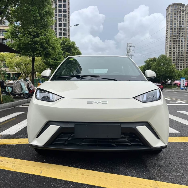 Seagull 2025 Smart Driving Edition 305km Vitality Edition