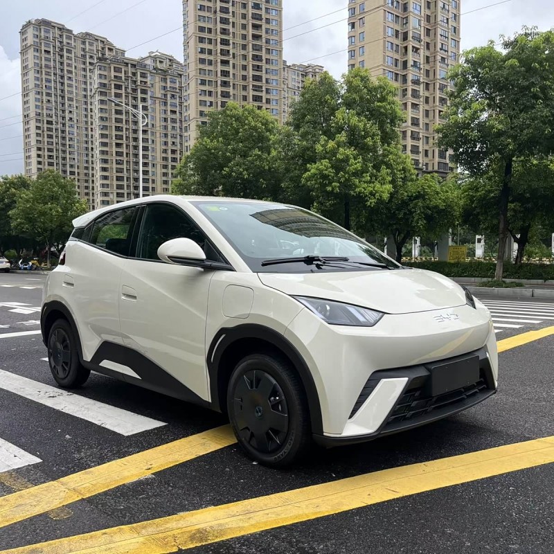 Seagull 2025 Smart Driving Edition 305km Vitality Edition Seagull 2025 Smart Driving Edition 305km Vitality Edition