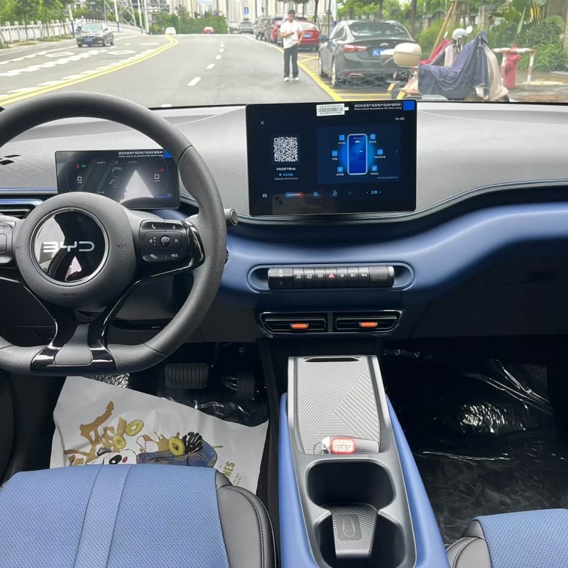 Seagull 2025 Smart Driving Edition 305km Vitality Edition Seagull 2025 Smart Driving Edition 305km Vitality Edition