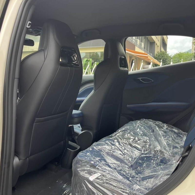 Seagull 2025 Smart Driving Edition 305km Vitality Edition Seagull 2025 Smart Driving Edition 305km Vitality Edition