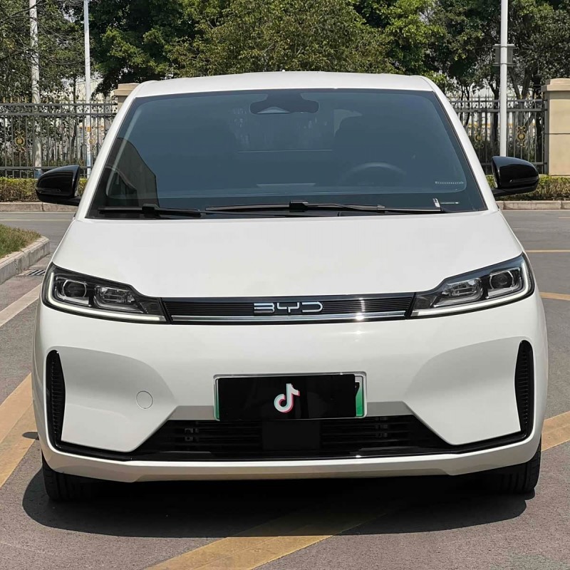 BYD D1 2023 Beyond Edition BYD D1 2023 Beyond Edition