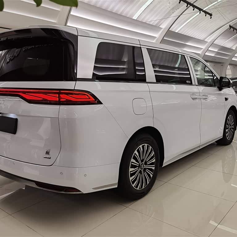 2025 DM-i 1.5T 100km Leading Edition 2025 DM-i 1.5T 100km Leading Edition