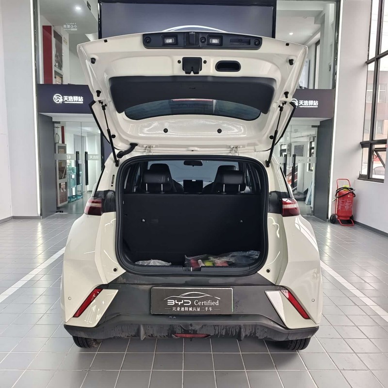 Seagull 2025 305km Vitality Edition Seagull 2025 305km Vitality Edition