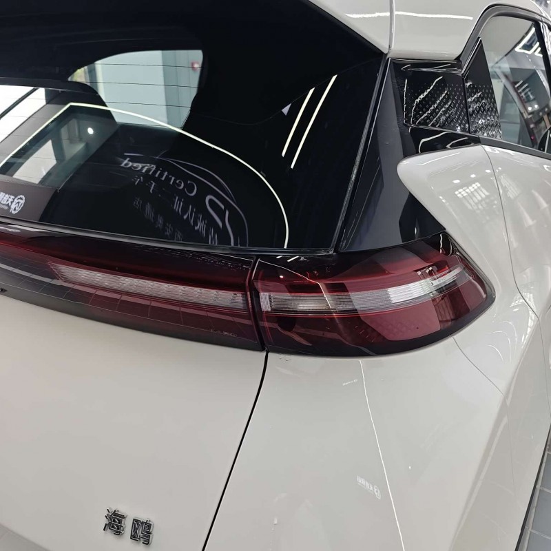 Seagull 2025 305km Vitality Edition Seagull 2025 305km Vitality Edition
