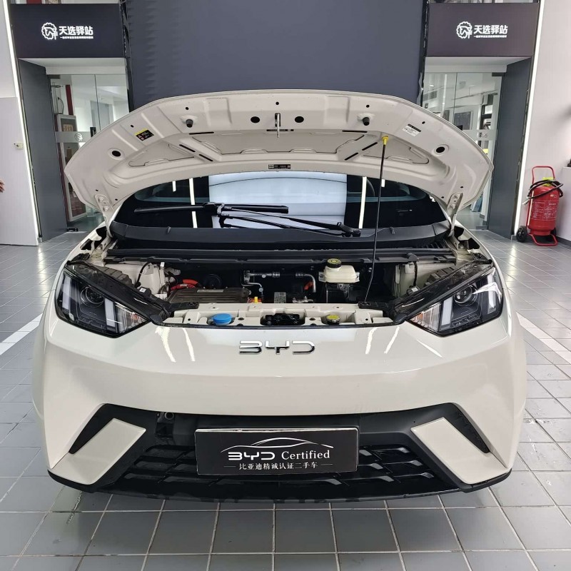 Seagull 2025 305km Vitality Edition Seagull 2025 305km Vitality Edition
