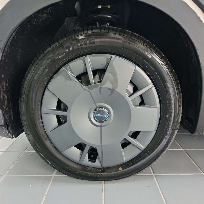 Seagull 2025 305km Vitality Edition Seagull 2025 305km Vitality Edition