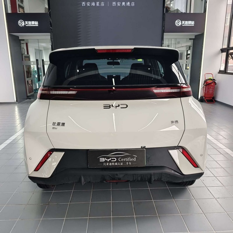 Seagull 2025 305km Vitality Edition Seagull 2025 305km Vitality Edition