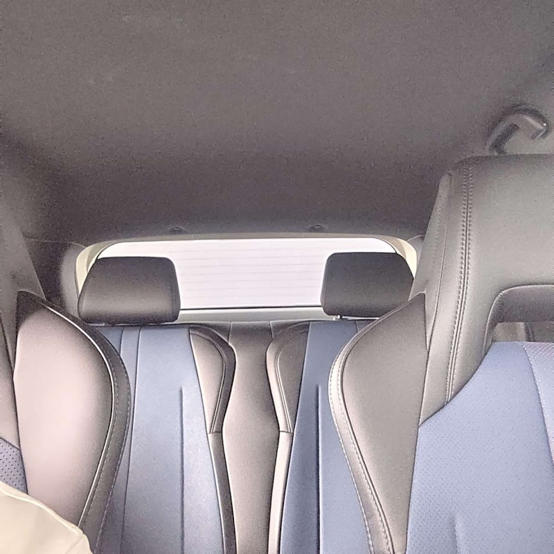 Seagull 2025 305km Vitality Edition Seagull 2025 305km Vitality Edition