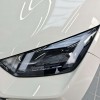 Seagull 2025 305km Vitality Edition