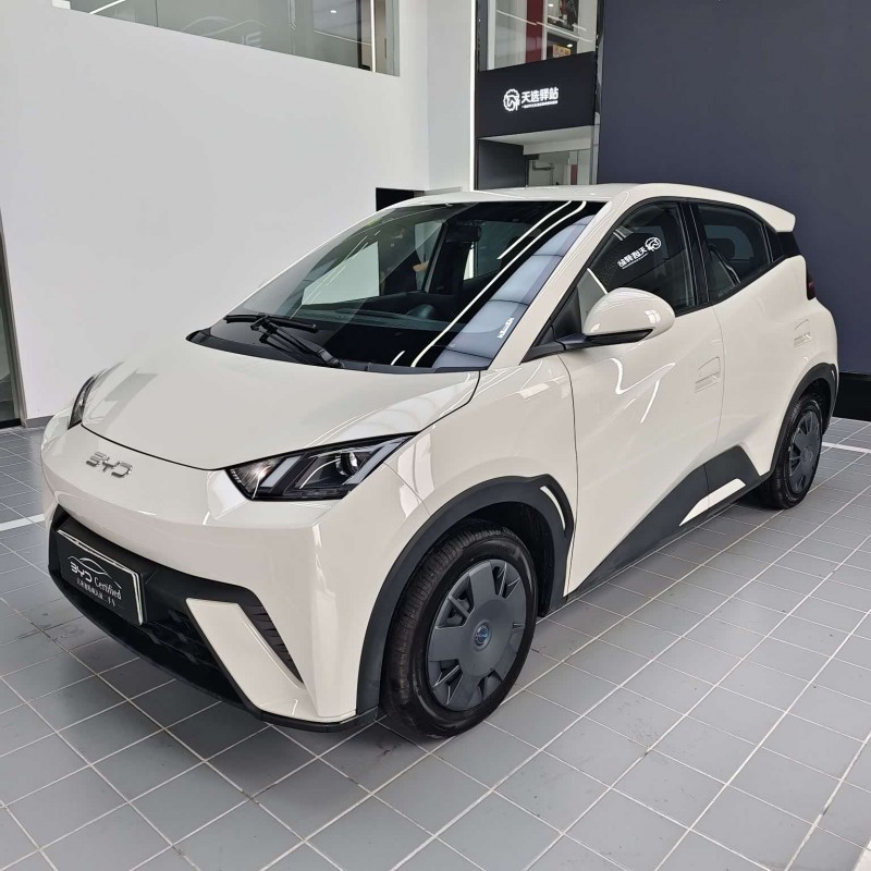 Seagull 2025 305km Vitality Edition