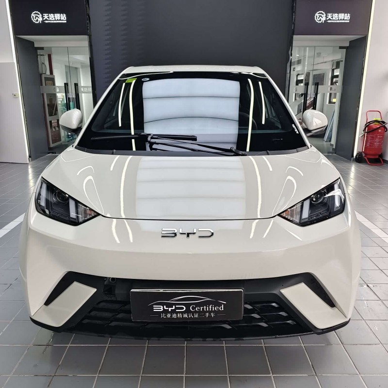 Seagull 2025 305km Vitality Edition Seagull 2025 305km Vitality Edition