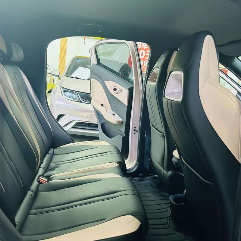 Seagull 2024 Glory Edition 305km Vitality Edition Seagull 2024 Glory Edition 305km Vitality Edition