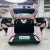 Seagull 2024 Glory Edition 305km Vitality Edition
