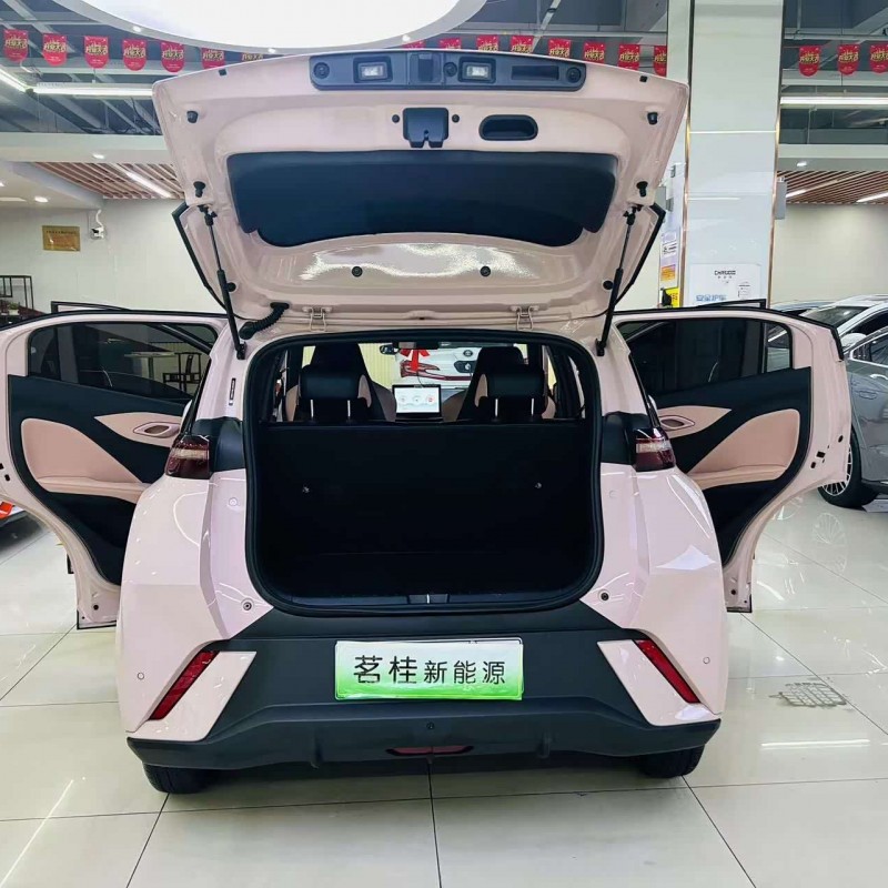 Seagull 2024 Glory Edition 305km Vitality Edition Seagull 2024 Glory Edition 305km Vitality Edition