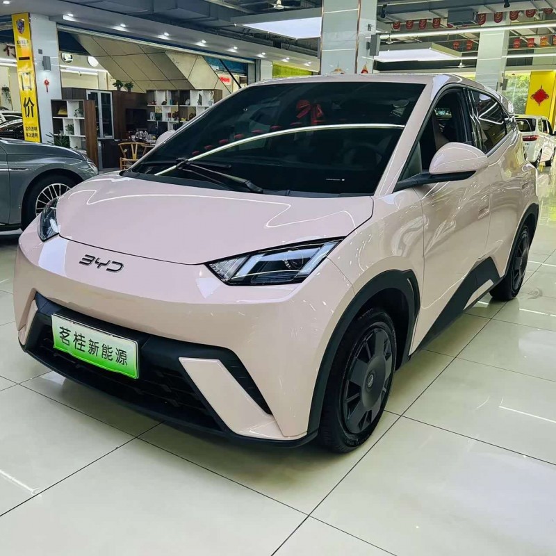 Seagull 2024 Glory Edition 305km Vitality Edition