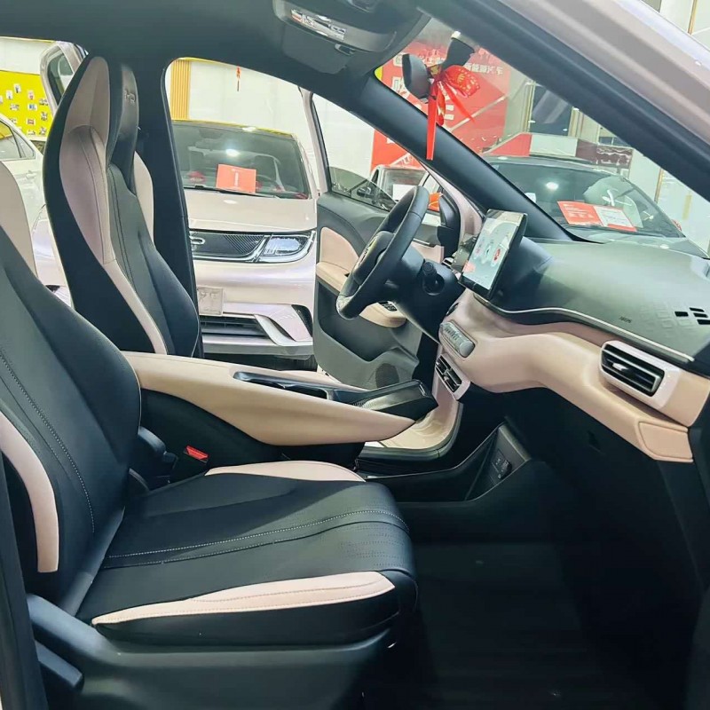 Seagull 2024 Glory Edition 305km Vitality Edition Seagull 2024 Glory Edition 305km Vitality Edition