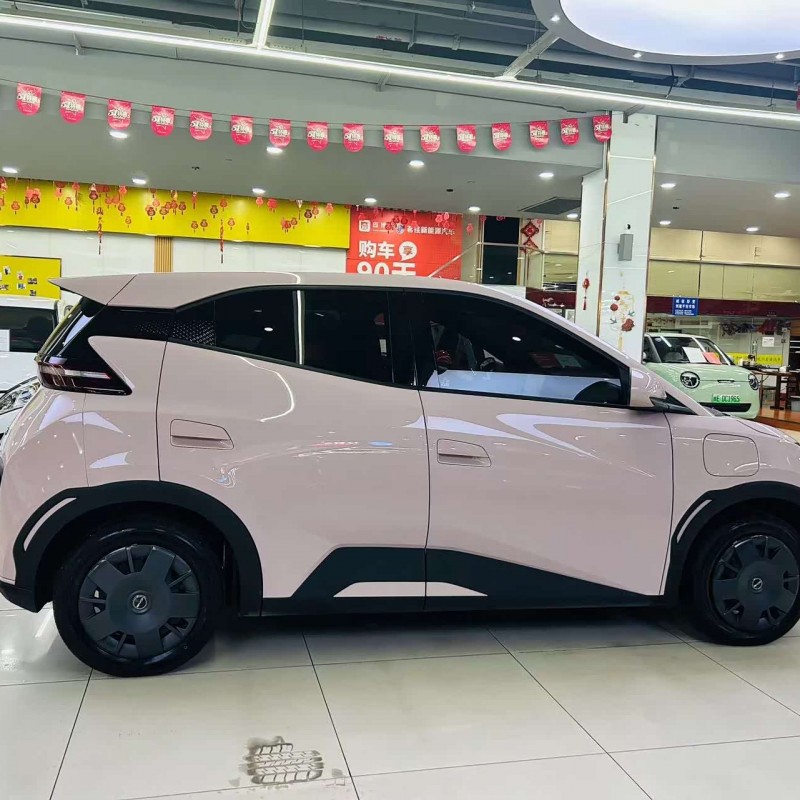 Seagull 2024 Glory Edition 305km Vitality Edition Seagull 2024 Glory Edition 305km Vitality Edition