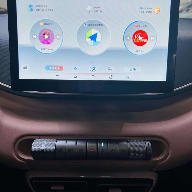 Seagull 2024 Glory Edition 305km Vitality Edition Seagull 2024 Glory Edition 305km Vitality Edition