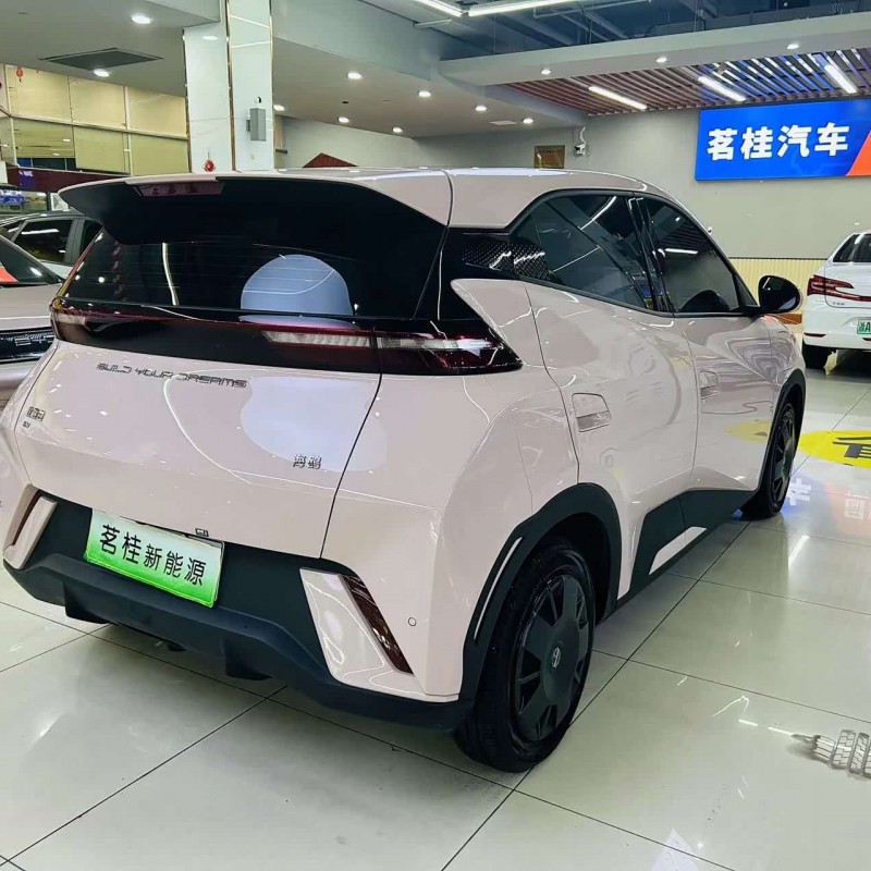 Seagull 2024 Glory Edition 305km Vitality Edition Seagull 2024 Glory Edition 305km Vitality Edition