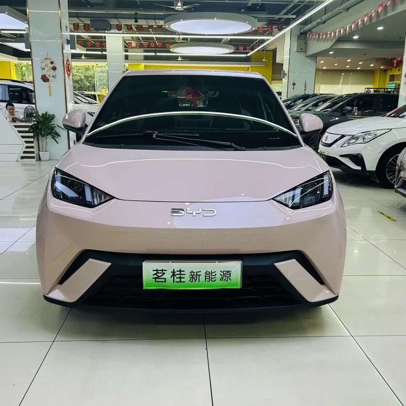Seagull 2024 Glory Edition 305km Vitality Edition Seagull 2024 Glory Edition 305km Vitality Edition