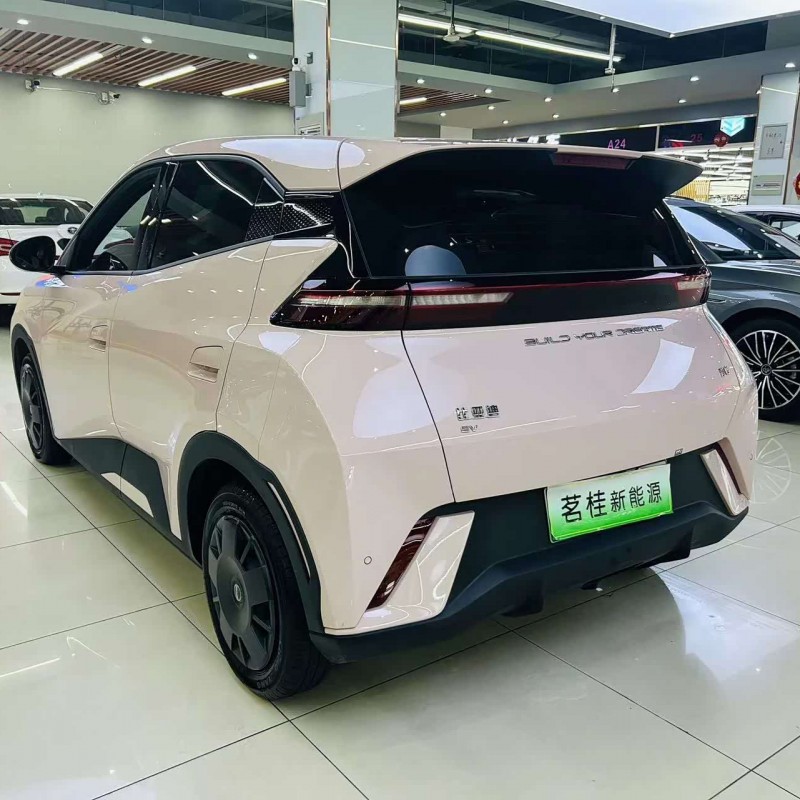 Seagull 2024 Glory Edition 305km Vitality Edition Seagull 2024 Glory Edition 305km Vitality Edition