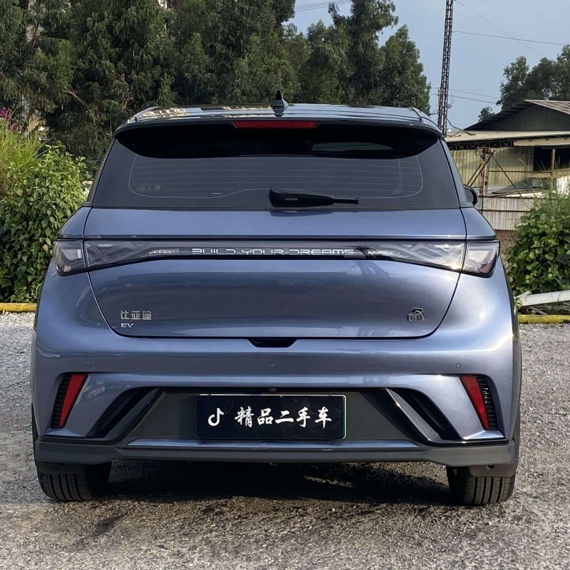Dolphin 2023 401km Knight Edition Dolphin 2023 401km Knight Edition