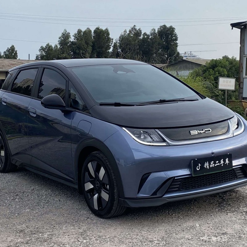 Dolphin 2023 401km Knight Edition Dolphin 2023 401km Knight Edition