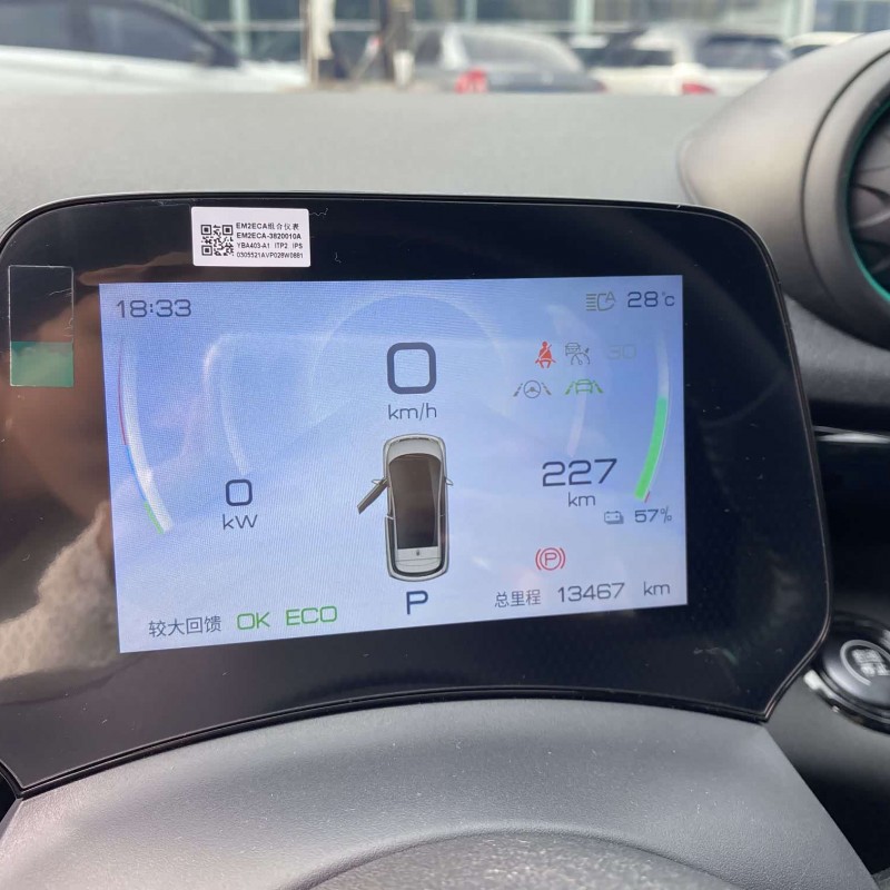 Dolphin 2023 401km Knight Edition Dolphin 2023 401km Knight Edition