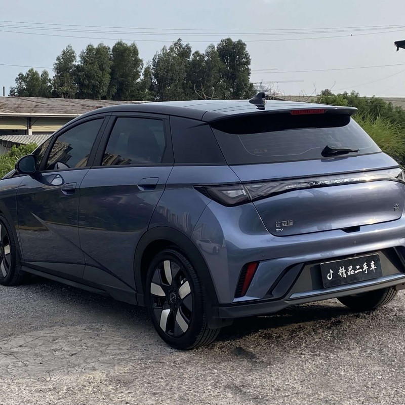 Dolphin 2023 401km Knight Edition Dolphin 2023 401km Knight Edition
