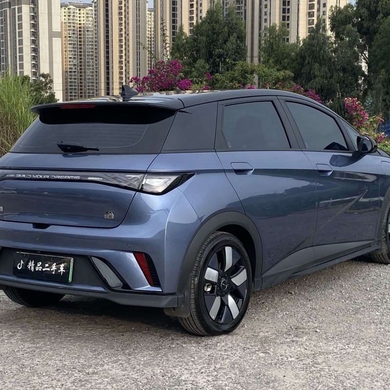 Dolphin 2023 401km Knight Edition Dolphin 2023 401km Knight Edition