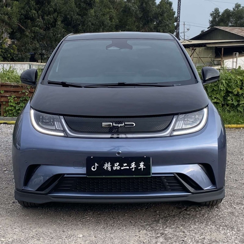 Dolphin 2023 401km Knight Edition Dolphin 2023 401km Knight Edition
