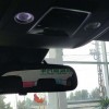 Dolphin 2023 401km Knight Edition Dolphin 2023 401km Knight Edition