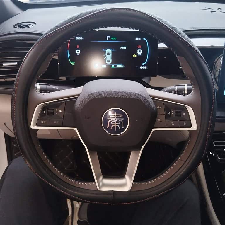 Qin PLUS 2024 Honor Edition DM-i 55KM Leading Edition Qin PLUS 2024 Honor Edition DM-i 55KM Leading Edition