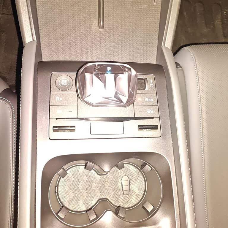 Qin L 2024 DM-i 80KM Leading Edition Qin L 2024 DM-i 80KM Leading Edition