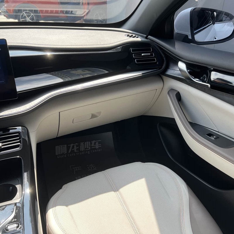 Qin PLUS 2023 Champion Edition DM-i 55KM Leading Edition Qin PLUS 2023 Champion Edition DM-i 55KM Leading Edition