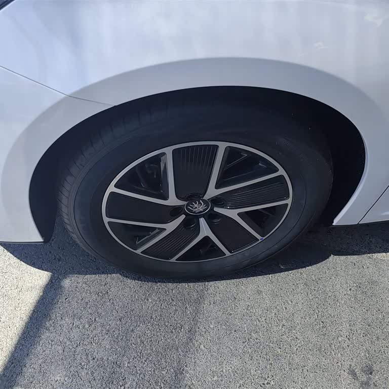 Qin L 2024 DM-i 80KM Beyond Edition Qin L 2024 DM-i 80KM Beyond Edition