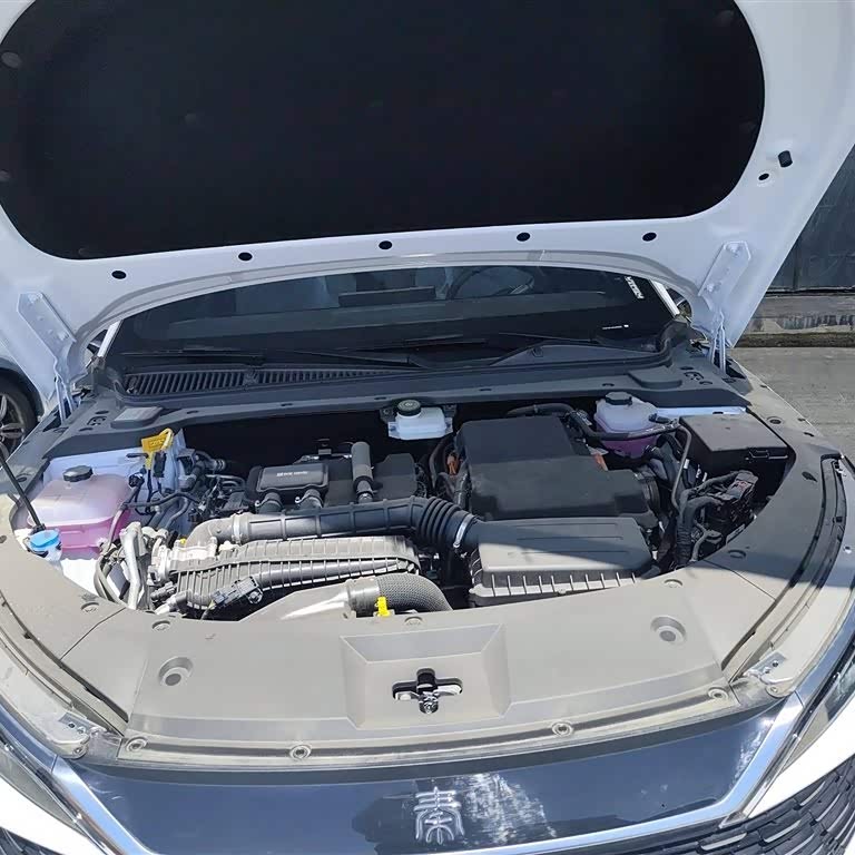 Qin L 2024 DM-i 80KM Beyond Edition Qin L 2024 DM-i 80KM Beyond Edition