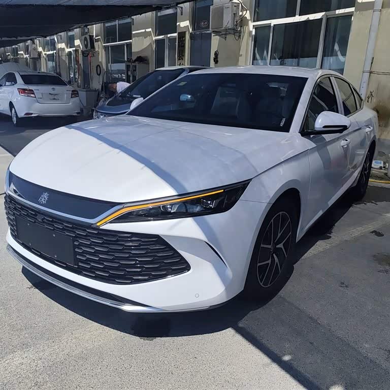 Qin L 2024 DM-i 80KM Beyond Edition