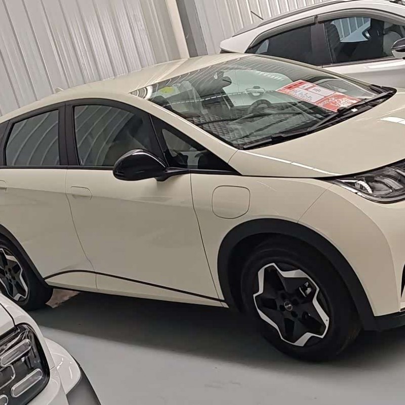 Dolphin 2025 420km Vitality Edition Dolphin 2025 420km Vitality Edition