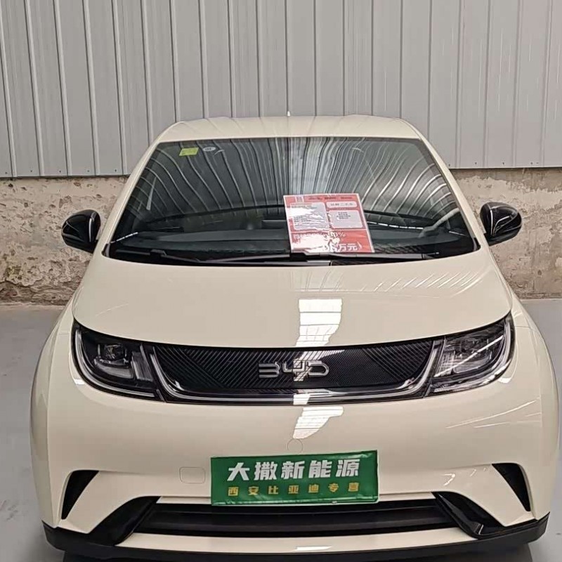 Dolphin 2025 420km Vitality Edition Dolphin 2025 420km Vitality Edition