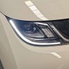 Dolphin 2025 420km Vitality Edition Dolphin 2025 420km Vitality Edition