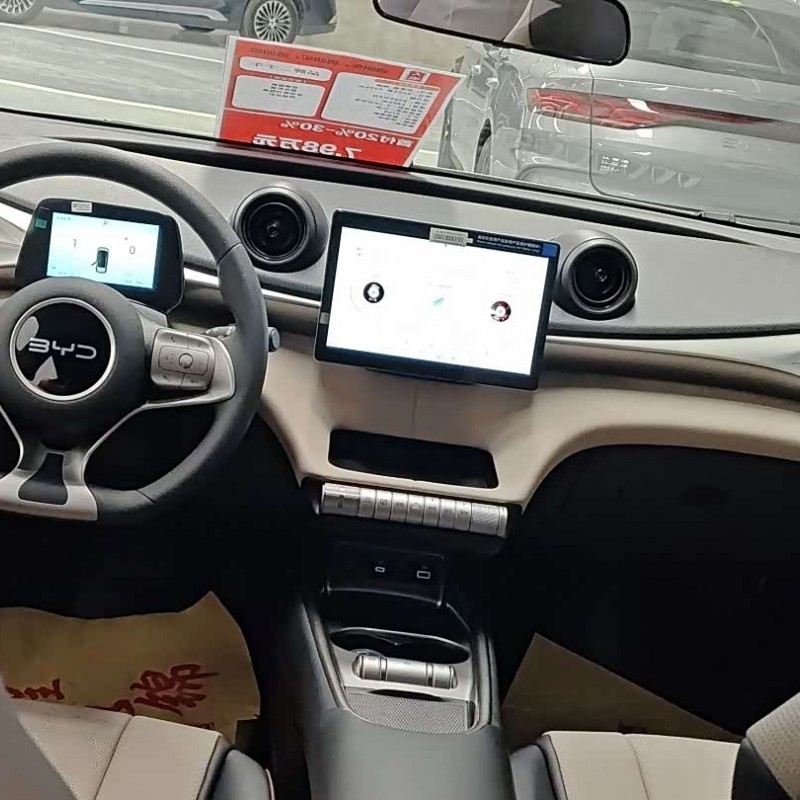 Dolphin 2025 420km Vitality Edition Dolphin 2025 420km Vitality Edition