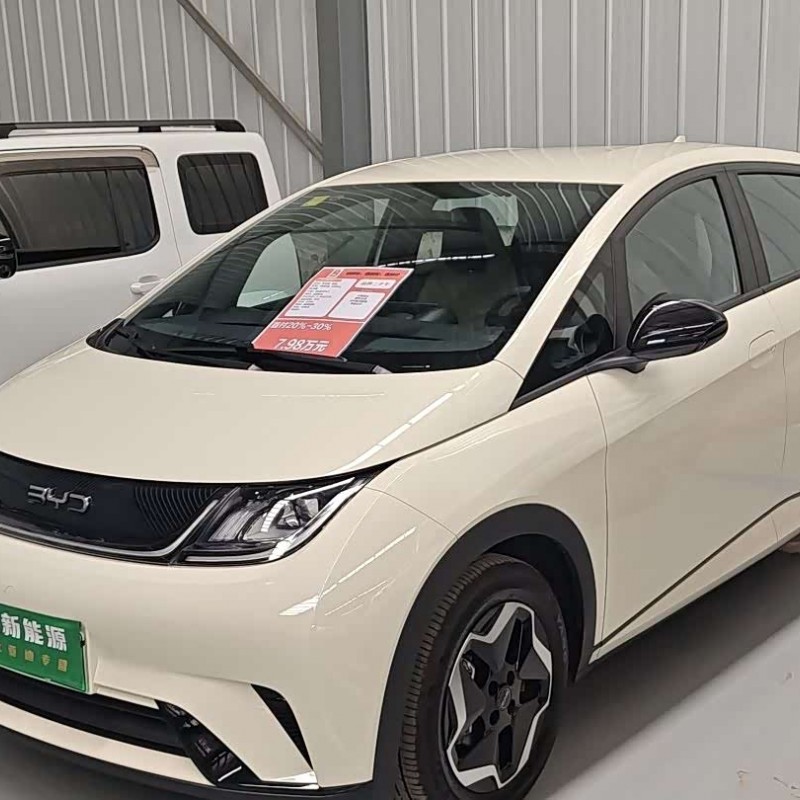 Dolphin 2025 420km Vitality Edition Dolphin 2025 420km Vitality Edition