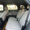 Tang New Energy 2024 DM-p Champion Edition 215KM 4WD Premium Edition